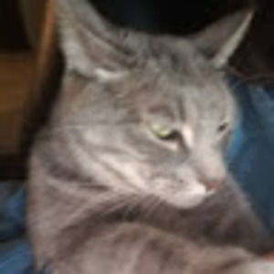 Meet your Posher, Kaylee